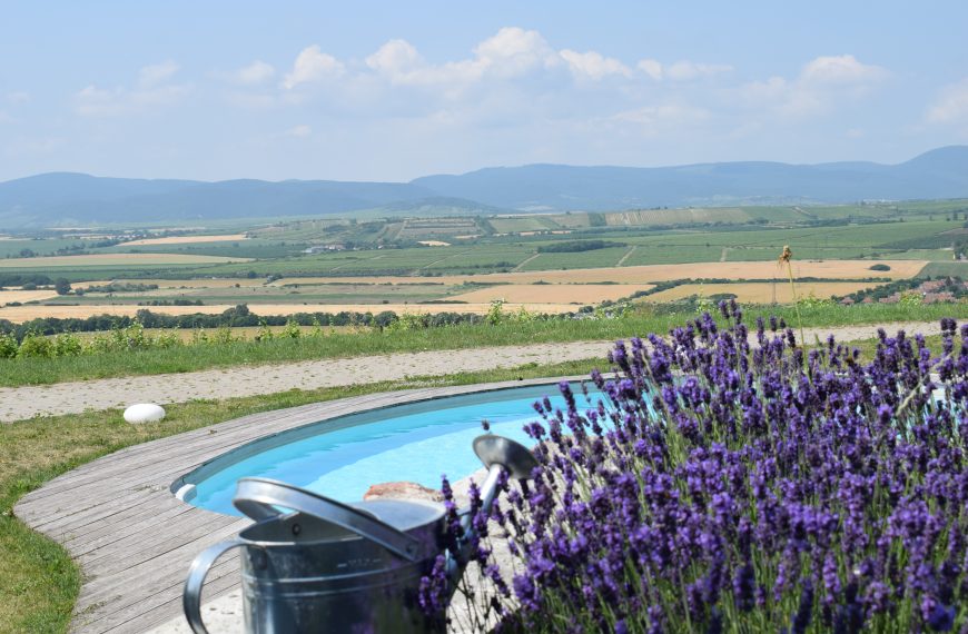 Ötletek lányos lazuláshoz Tokaj-Hegyalján