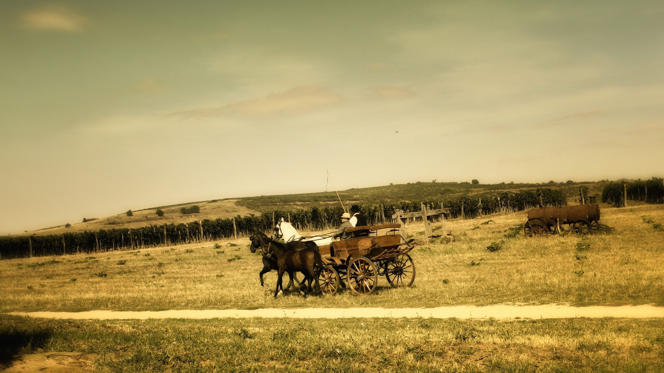 Mint a régi szép időkben - lovasszekérren Tokaj-Hegyalján