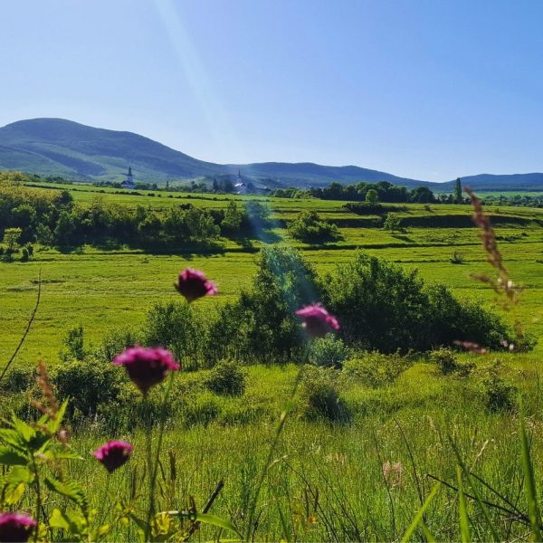 Erdőbénye: látkép a panorámaútról