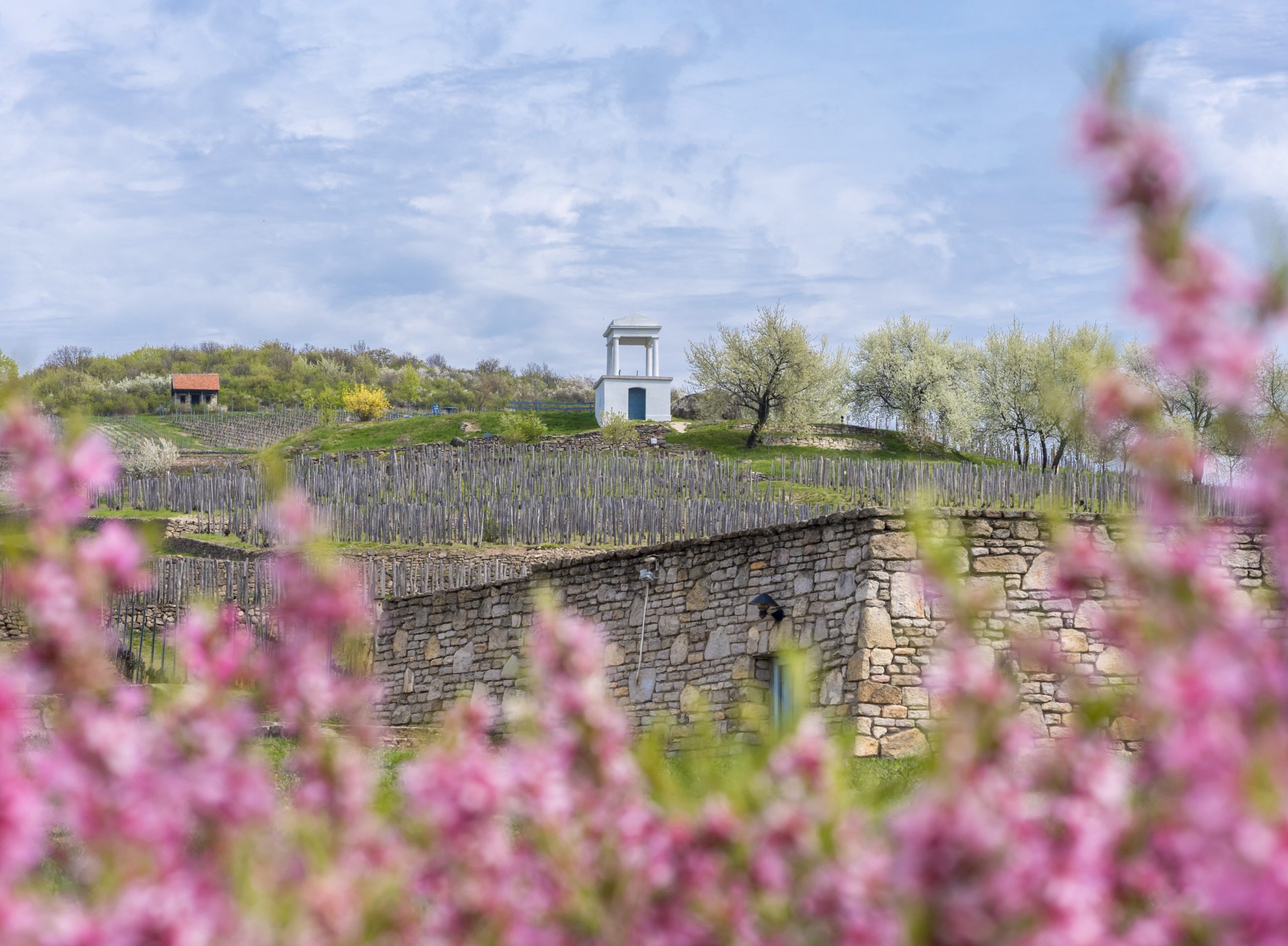 Tokaj és környéke: Tarcal, Mád, Bodrogkeresztúr